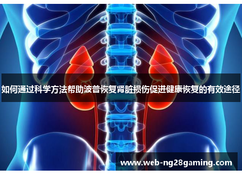 如何通过科学方法帮助波普恢复肾脏损伤促进健康恢复的有效途径