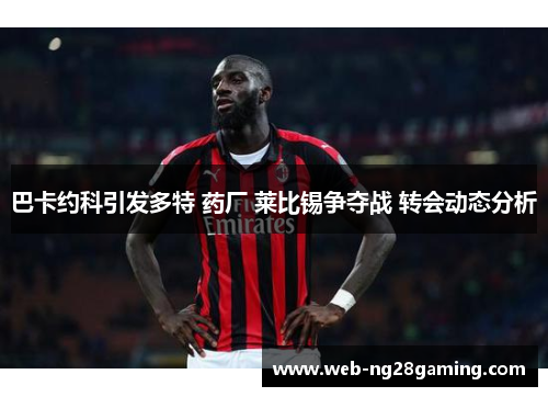 巴卡约科引发多特 药厂 莱比锡争夺战 转会动态分析