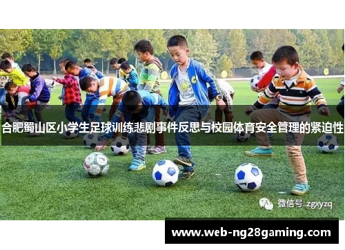 合肥蜀山区小学生足球训练悲剧事件反思与校园体育安全管理的紧迫性