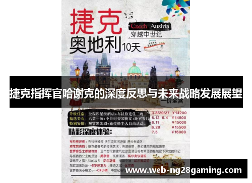 捷克指挥官哈谢克的深度反思与未来战略发展展望