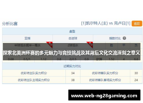 探索北美洲杯赛的多元魅力与竞技挑战及其背后文化交流深刻之意义