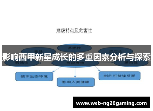 影响西甲新星成长的多重因素分析与探索