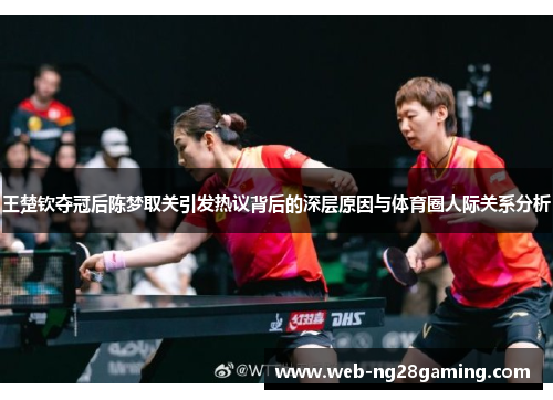 王楚钦夺冠后陈梦取关引发热议背后的深层原因与体育圈人际关系分析