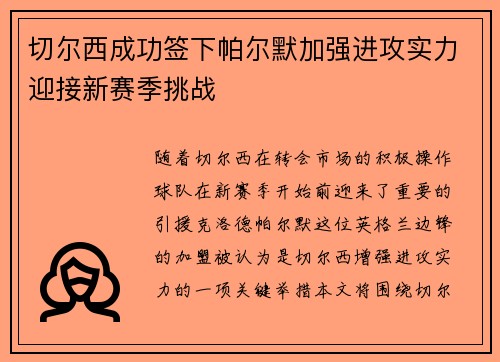 切尔西成功签下帕尔默加强进攻实力迎接新赛季挑战
